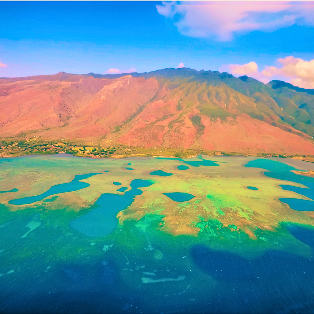 Tropical Ocean Puzzle 1000 Piece, Colorful Coral Reef Jigsaw Puzzle, Relaxing Sea Life Art, Landscape Puzzle