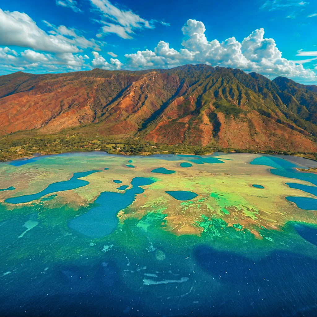 Tropical Ocean Puzzle 1000 Piece, Colorful Coral Reef Jigsaw Puzzle, Relaxing Sea Life Art, Landscape Puzzle