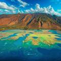 Tropical Ocean Puzzle 1000 Piece, Colorful Coral Reef Jigsaw Puzzle, Relaxing Sea Life Art, Landscape Puzzle